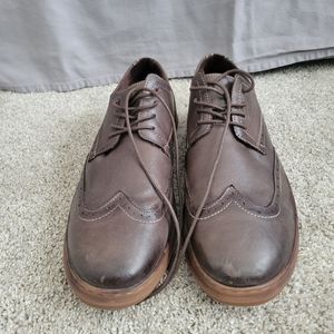 Men's Azkbird Wingtip Brown Oxford Shoes - Size 12